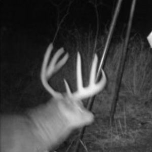 Meet your Posher, Evan